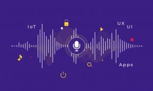 VUI (Voice User Interface)