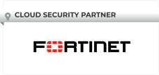Platinum Partner - Our Virtualization Partner
